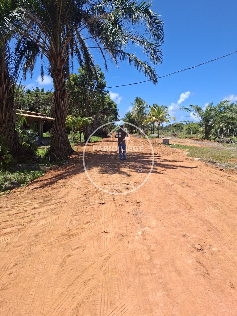 833444.jpg