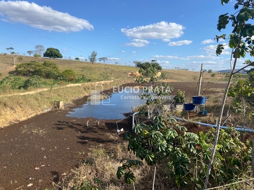 Fazenda/Sítios/Chácaras no bairro Fazenda 97 hectares café , em Montanha | Eu Corretor