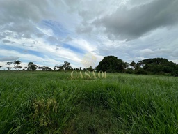 Fazenda/Sítios/Chácaras de 169400m² no bairro Área rural, em Cacoal | Eu Corretor
