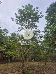 Fazenda/Sítios/Chácaras de 2 quartos, no bairro Iporá, em Rio Preto da Eva | Eu Corretor