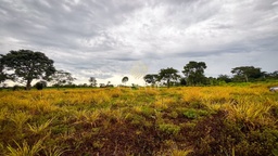 Fazenda/Sítios/Chácaras no bairro Área rural, em Cacoal | Eu Corretor