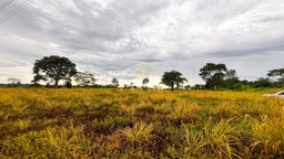 Fazenda/Sítios/Chácaras no bairro Área rural, em Cacoal | Eu Corretor
