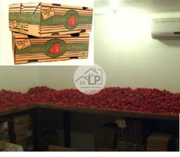 Fazenda/Sítios/Chácaras de 480000m² no bairro Carmo, em Carmo | Eu Corretor