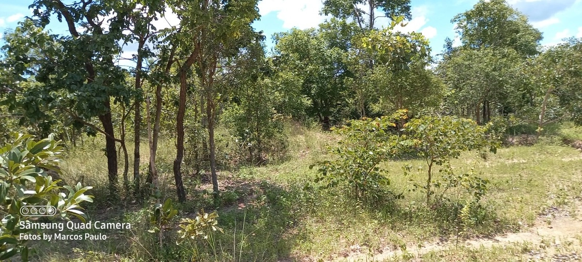 Fazenda/Sítios/Chácaras de 26860000m² no bairro Chapada Gaúcha, em Chapada Gaúcha | Eu Corretor