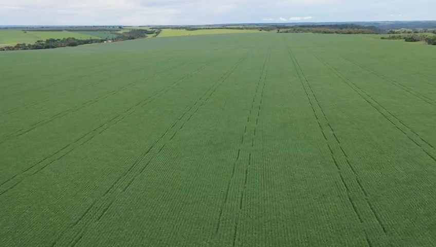 Fazenda/Sítios/Chácaras de 2520000m² no bairro Centro, em Luziânia | Eu Corretor